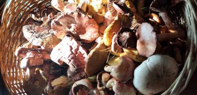 Прикрепленное изображение: IMG_20231003_144407.jpg